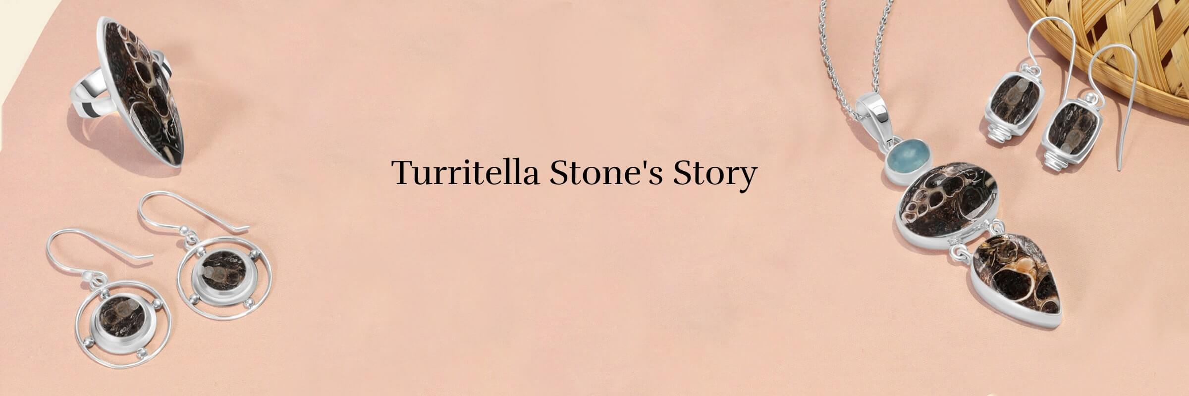 History of Turritella Stone
