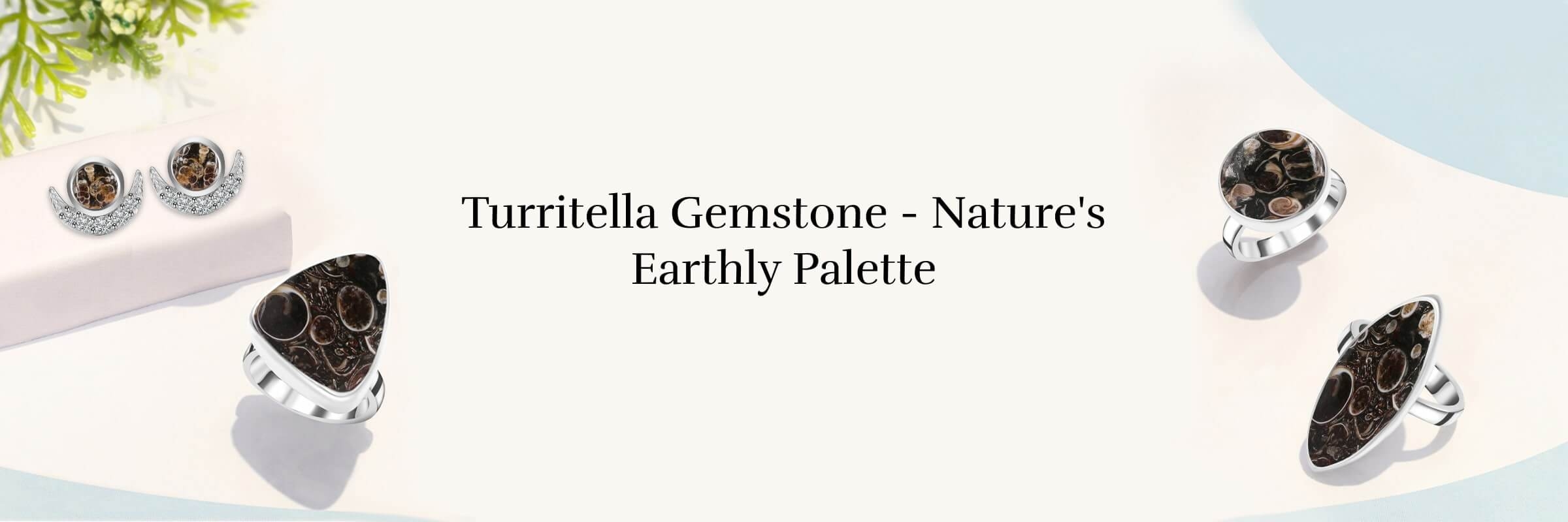 Physical Properties of Turritella Gemstone