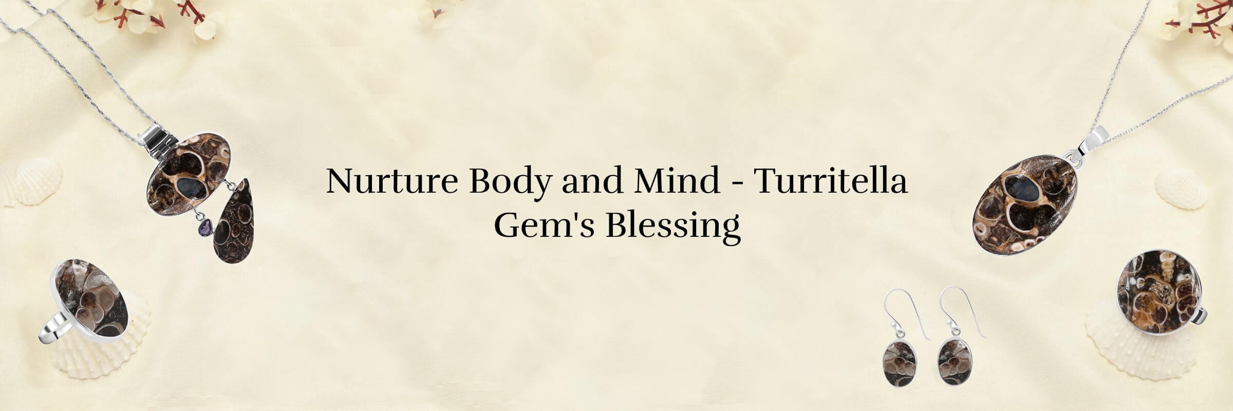 Heal Yourself Physically & Mentally with Turritella Gem