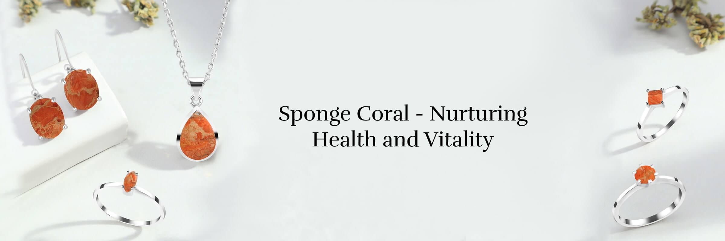 Health benefits of Sponge Coral