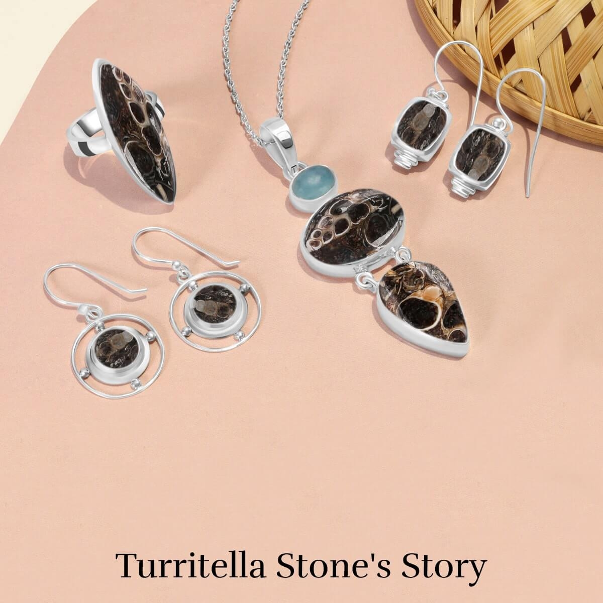 History of Turritella Stone