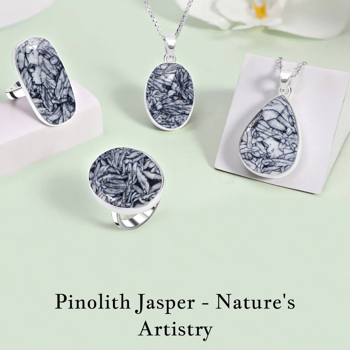 Pinolith Jasper Jewelry